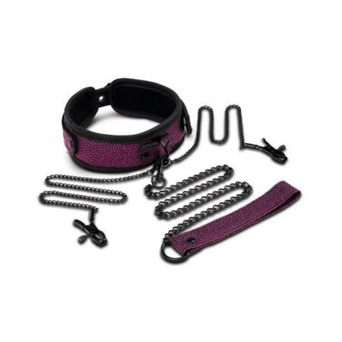 Whipsmart Dragon's Lair Collar, Leash & Nipple Clips Set