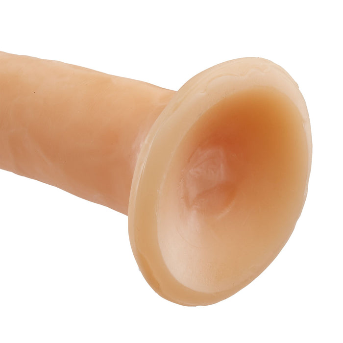 Cloud 9 Dual Density 7 inches without Balls Beige/Light