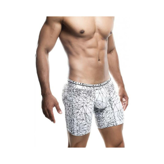 Male Basics Spider Hipster Boxer Brief White/black Xl