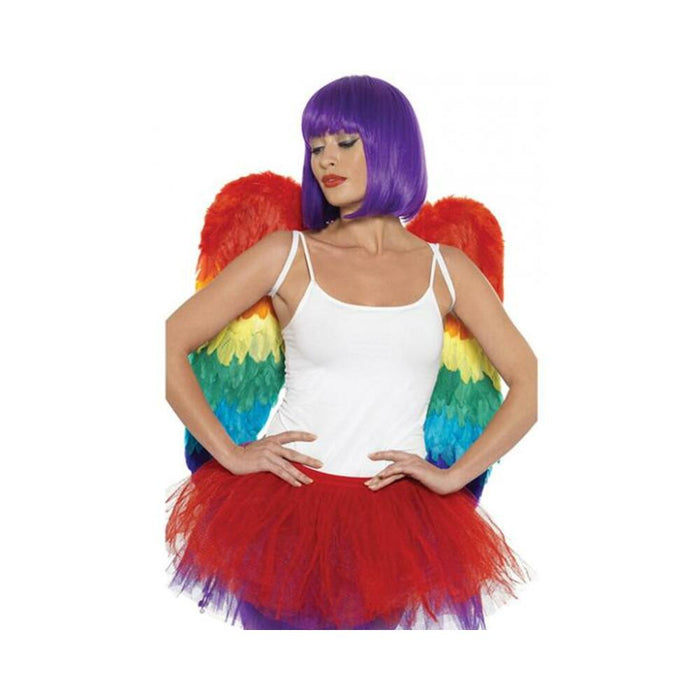 Rainbow Large Feather Wings