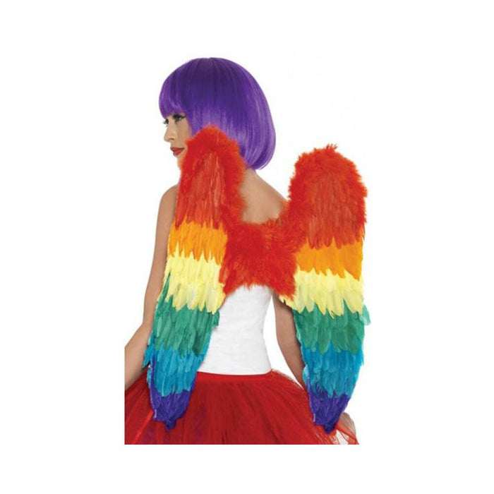 Rainbow Large Feather Wings
