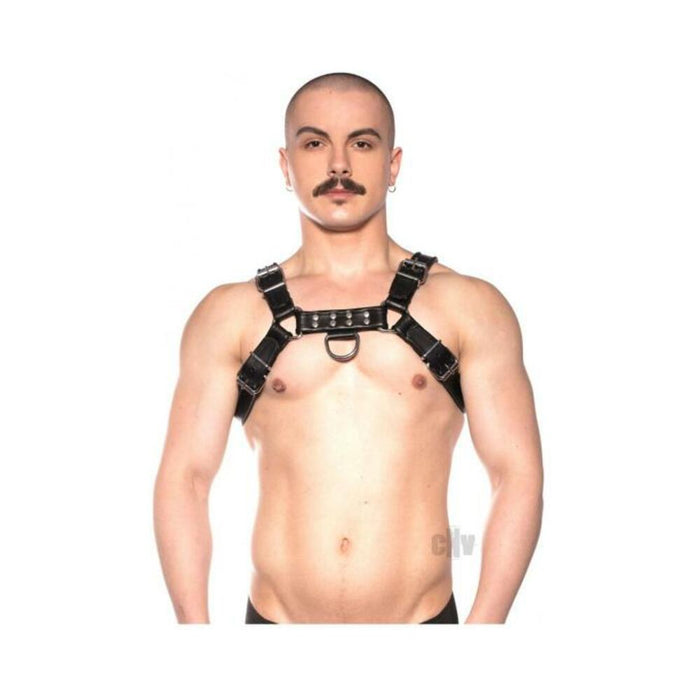 Prowler Red Bull Harness Blk Xxlg