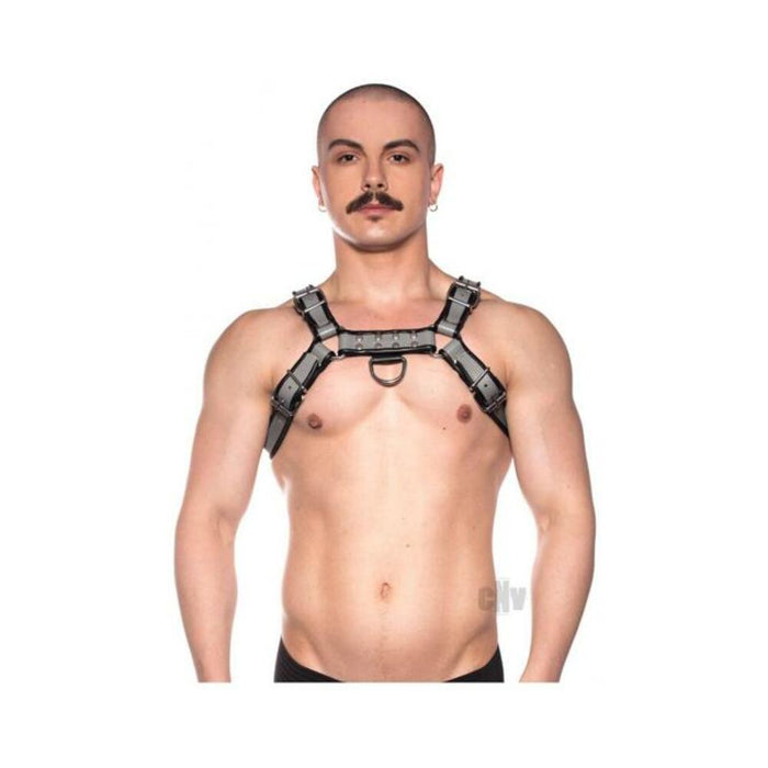 Prowler Red Bull Harness Gry Xxlg