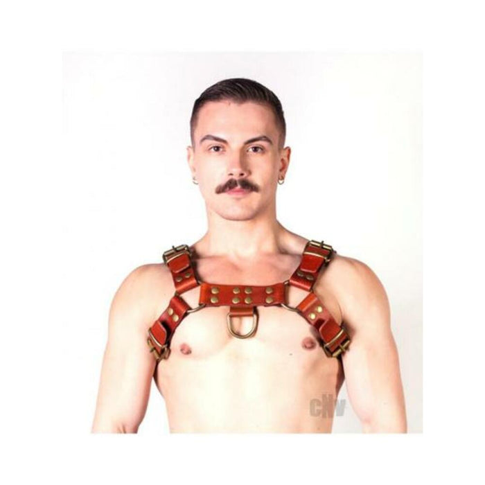 Prowler Red Butch Harness Brn/brs Sm