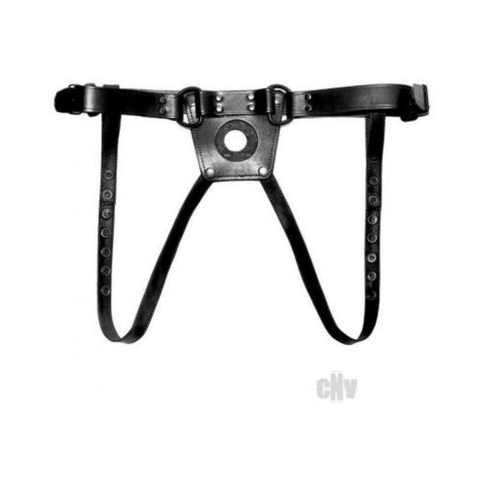 Prowler Red Dong Harness Lg Blk