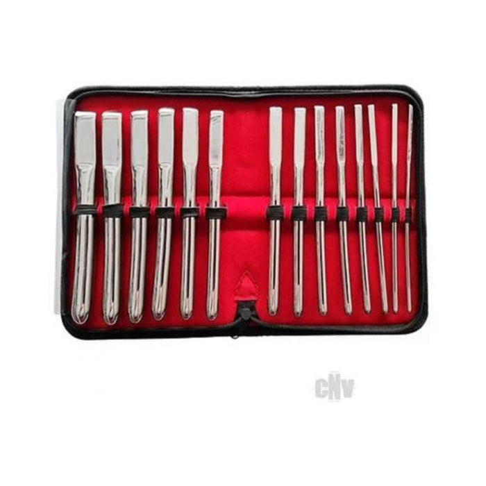 Rouge Stainless Steel Uterine Hegar Set 14 Pieces In Case | SexToy.com