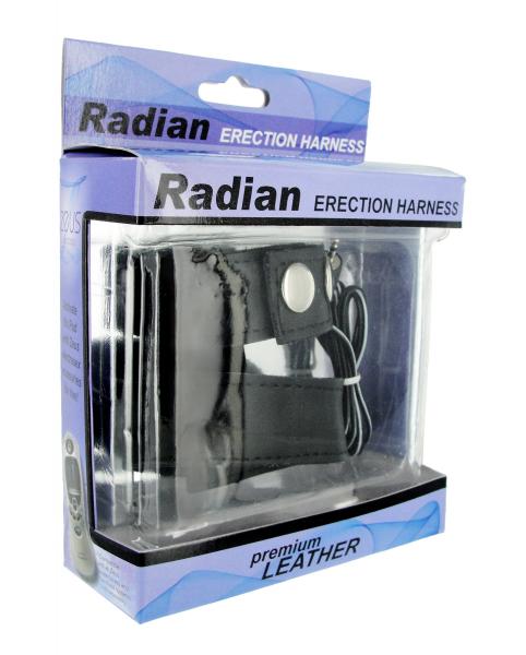 Radian Erection Harness Premium Black Leather | SexToy.com