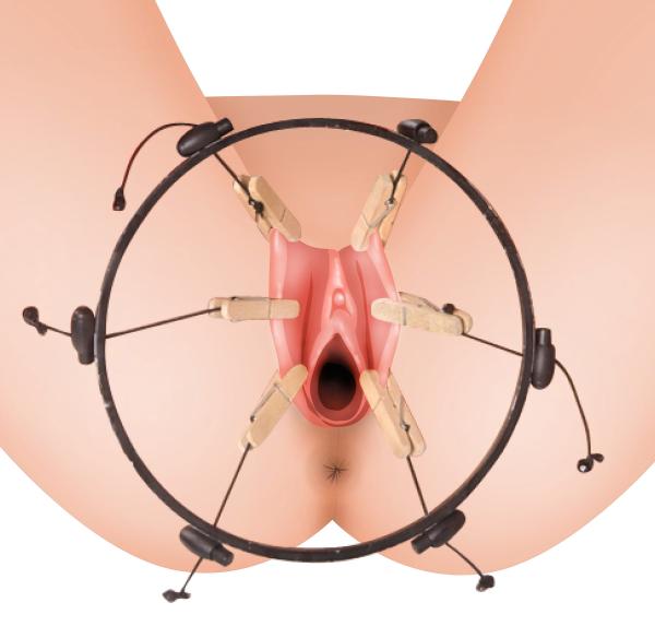 The Pussy Spreader Female Bondage Device - Bulk | SexToy.com