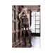 Sheer High Society Halter Dress With Attached Gartered Stockings Os Black | SexToy.com