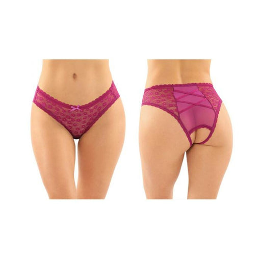 Daisy Crotchless Lace And Mesh Panty With Criss-cross Panel Back 6-pack L/xl Berry | SexToy.com