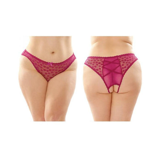 Daisy Crotchless Lace And Mesh Panty With Criss-cross Panel Back 6-pack Q/s Berry | SexToy.com