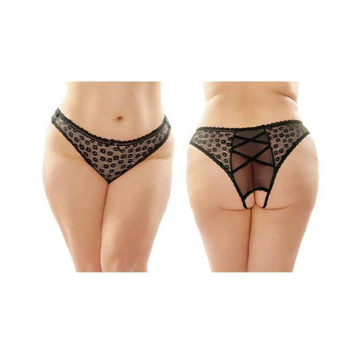 Daisy Crotchless Lace And Mesh Panty With Criss-cross Panel Back 6-pack Q/s Black | SexToy.com