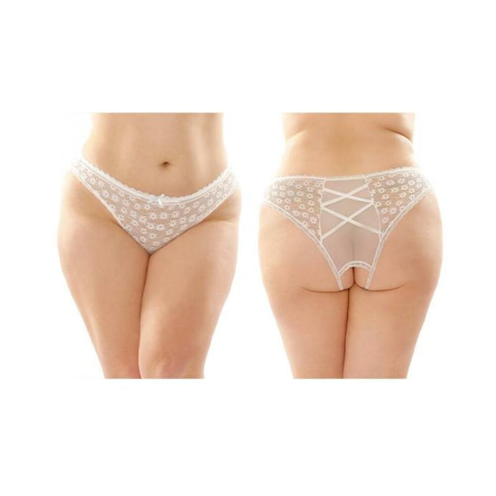 Daisy Crotchless Lace And Mesh Panty With Criss-cross Panel Back 6-pack Q/s White | SexToy.com