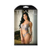 Tease Reese Butterfly Embroidered Mesh Bustier Top With Ribbon Lace-up Detail & Matching Panty With | SexToy.com