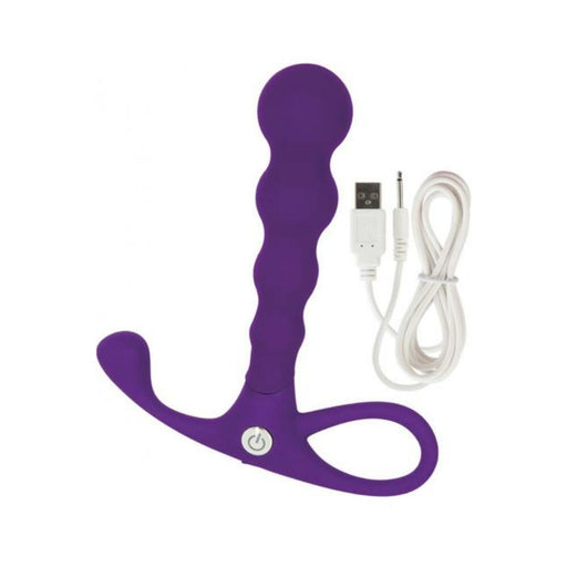 Embrace Beaded Anal Probe Purple | SexToy.com