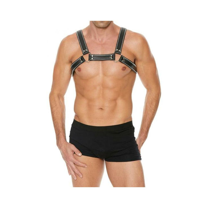 Premium Leather D-ring Zipper Bulldog Harness S/m Black | SexToy.com