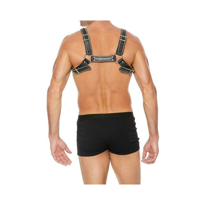 Premium Leather D-ring Zipper Series Bulldog Harness L/xl Black | SexToy.com