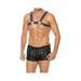 Premium Leather O-ring Zipper Series Bulldog Harness S/m Black | SexToy.com