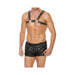 Premium Leather O-ring Zipper Series Bulldog Harness L/xl Black | SexToy.com