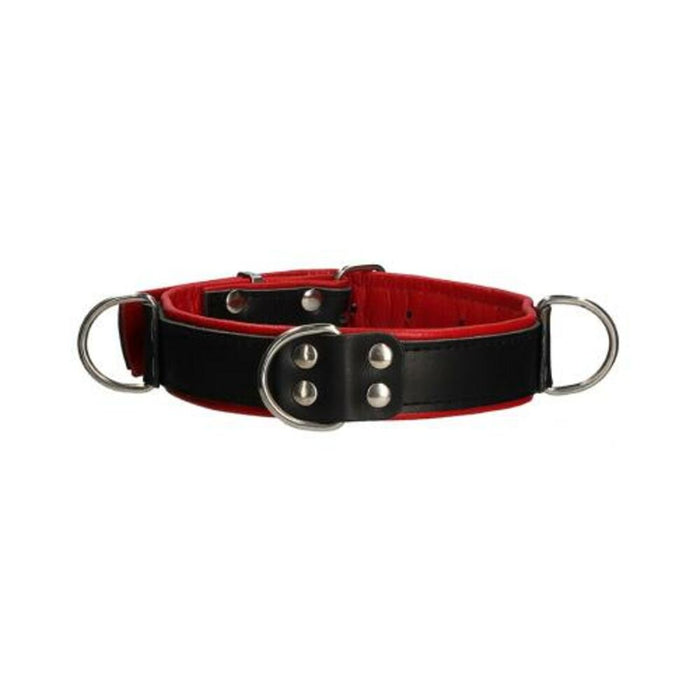 Premium Leather Bondage Collar - Black/red | SexToy.com