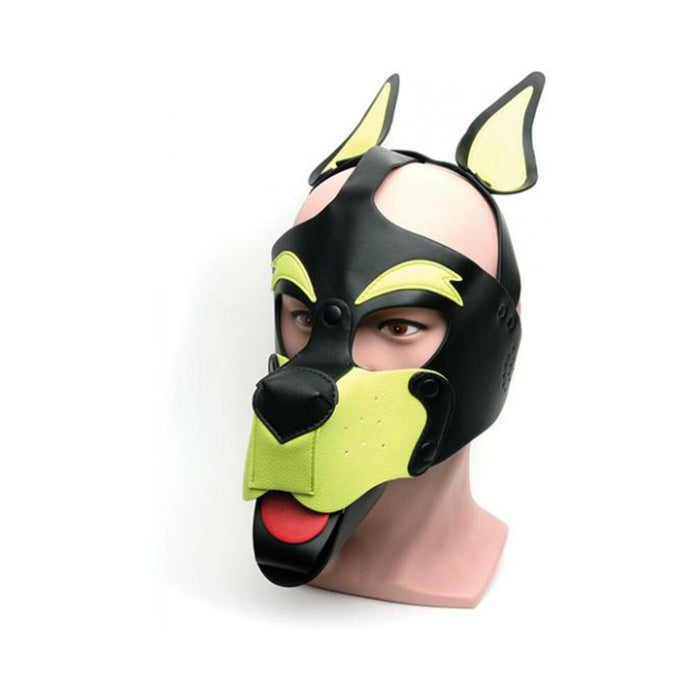 665 Playful Pup Hood - O/s Black/yellow