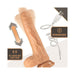Dr Skin Silic Dr Grey 7 Thrust Dildo Van | SexToy.com