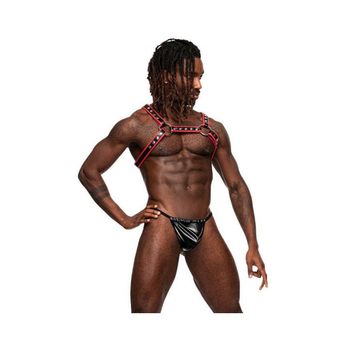 Male Power Man's Leather Leo Black/red O/s