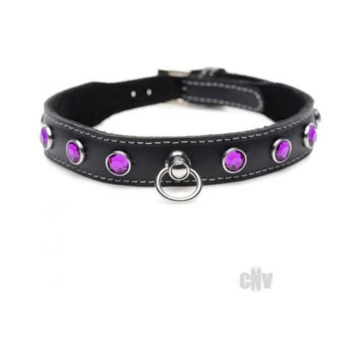 Ms Leather Collar W/rhinestone Purple | SexToy.com