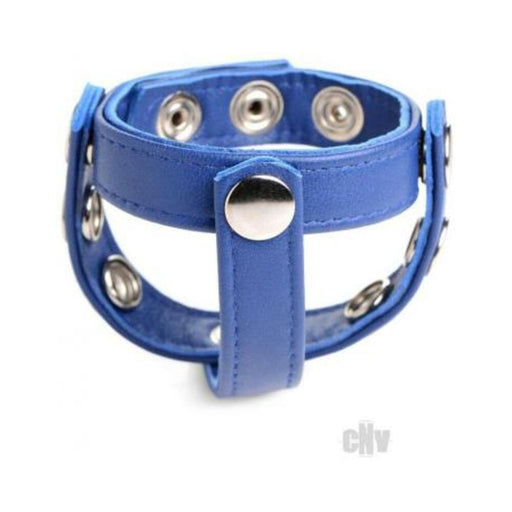 Cg Leather Snap-on Harness Blue | SexToy.com