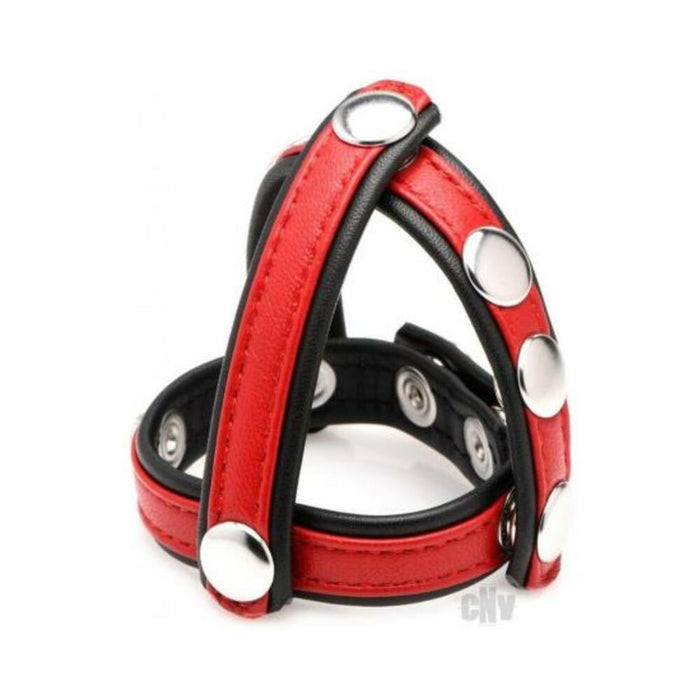 Cg Leather Snap-on Harness Red