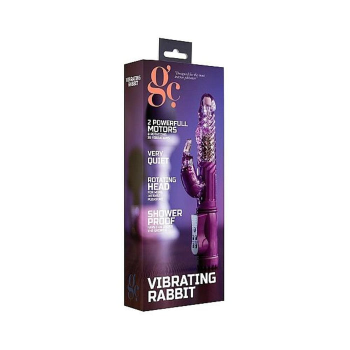 GC Vibrating Rabbit Purple | SexToy.com