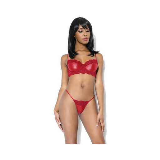 Lace And Matte Wetlook Bra And G-string Merlot L/xl Hanging | SexToy.com