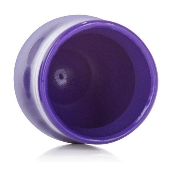 Mini Nipple Suckers Purple | SexToy.com