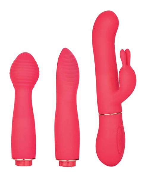 In Touch Dynamic Trio Pink Vibrator Kit | SexToy.com
