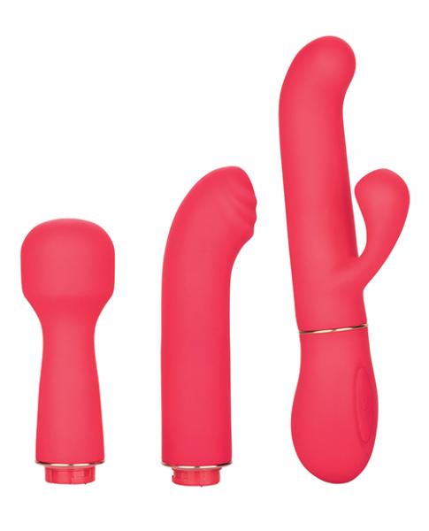 In Touch Passion Trio Pink Vibrator Kit | SexToy.com