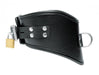 Isabella Sinclaire Posture Leather Collar With Leash | SexToy.com