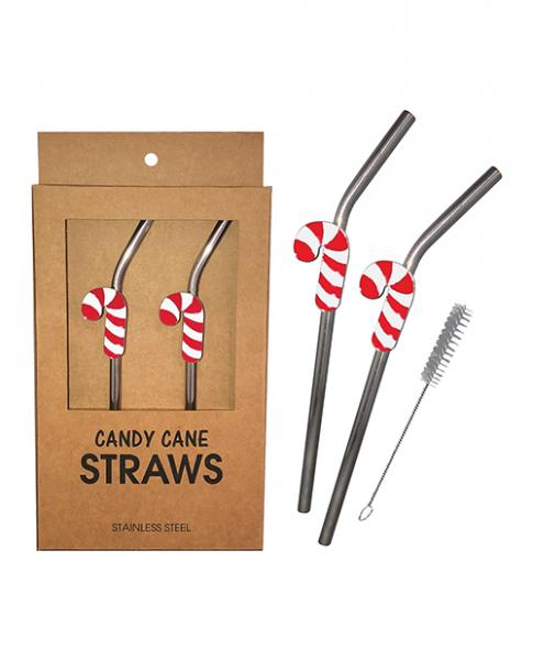 Holiday Candy Cane Reusable Stainless Steel (dishwasher Safe) Straws - Pack Of 2 | SexToy.com