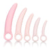 Inspire Silicone Dilator 5 Piece Set Pink | SexToy.com