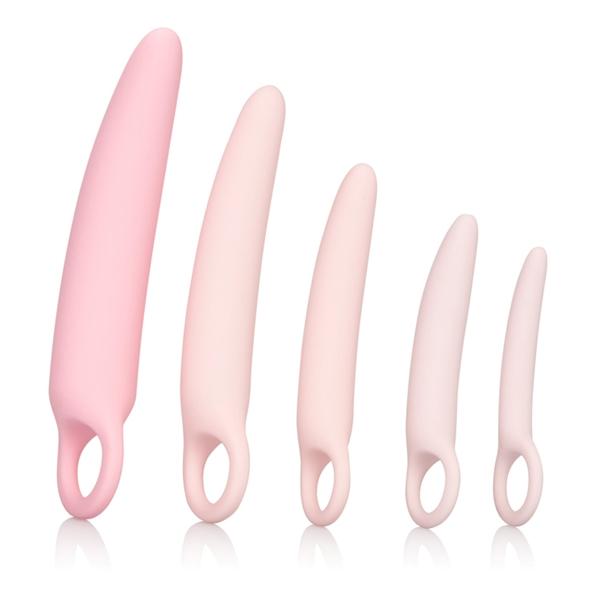 Inspire Silicone Dilator 5 Piece Set Pink | SexToy.com