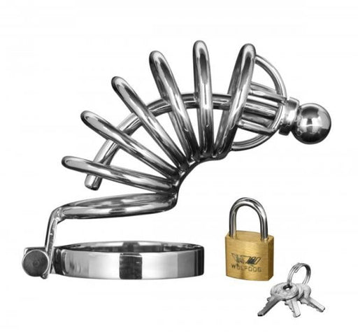 Asylum 6 Ring Locking Chastity Cage | SexToy.com