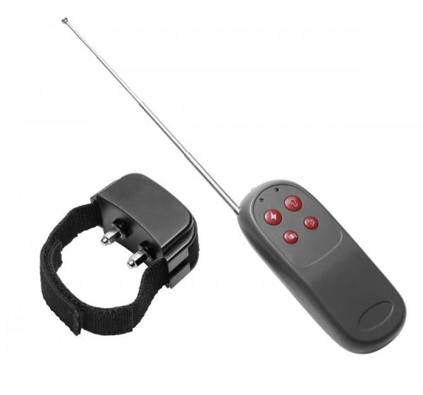 C*ck Shock Remote CBT Electric C*ck Ring | SexToy.com