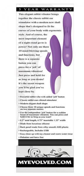 Romantic Rabbit Vibrator Purple | SexToy.com