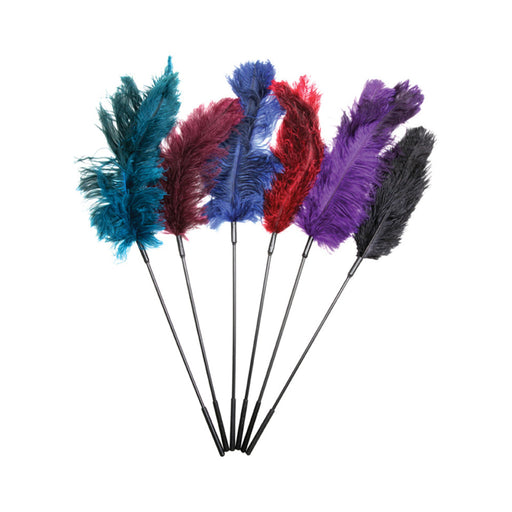 Ostrich Feather Ticklers Display (assorted) | SexToy.com