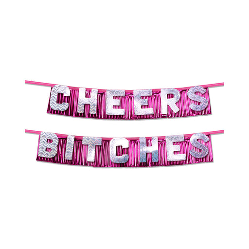 Bachelorette Party Favors "cheers Bitches" Party Banner | SexToy.com