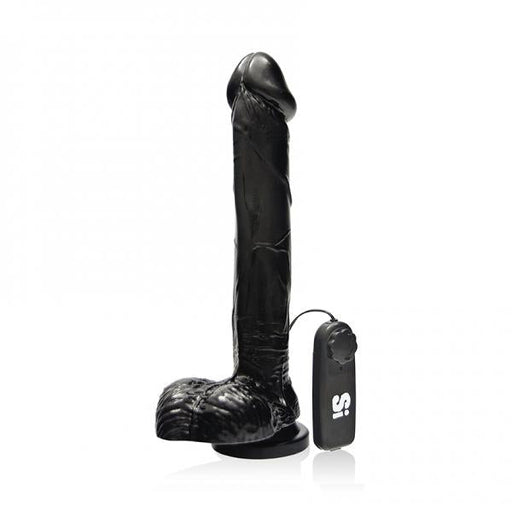 Cock with Balls Vibrating Egg & Suction Cup Black | SexToy.com