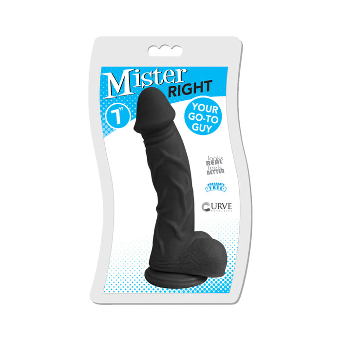 Mister Right 7 inches Dildo | SexToy.com