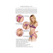 Adam & Eve Eve's Strap-on Play Set Pink/blue/purple | SexToy.com