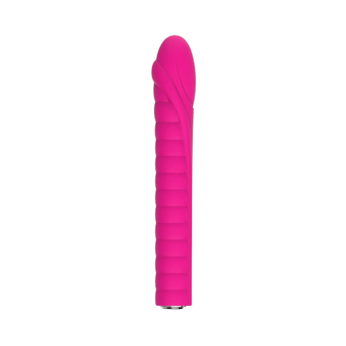 Nalone Dixie Silicone Bullet 20 Function Usb Rechargeable Waterproof Pink | SexToy.com