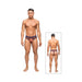 Male Power Terracotta Panel Thong Clay Sm | SexToy.com
