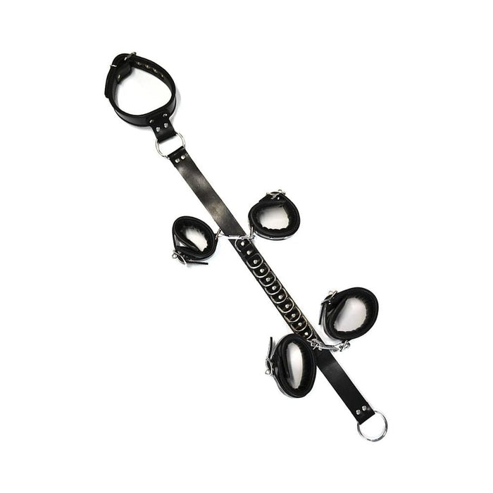 Rouge D Ring Hogtie Black/red | SexToy.com